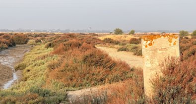 Cádiz