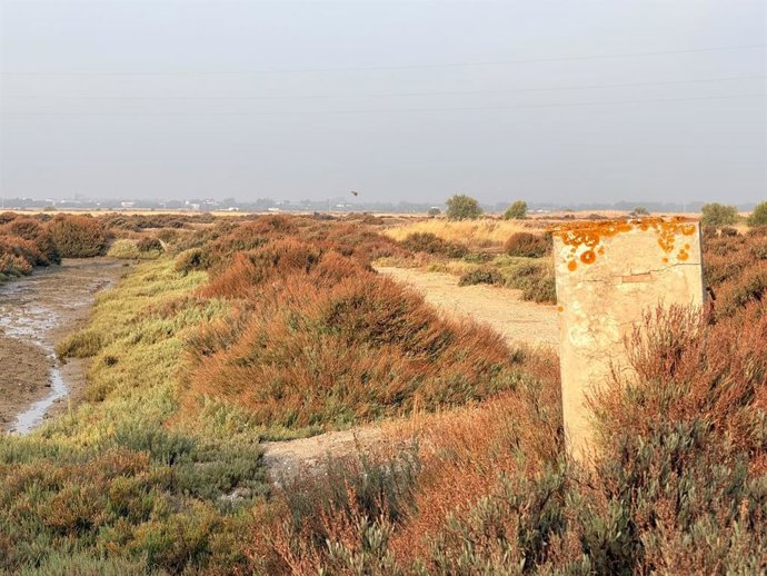Salina San Joaquín de Chiclana