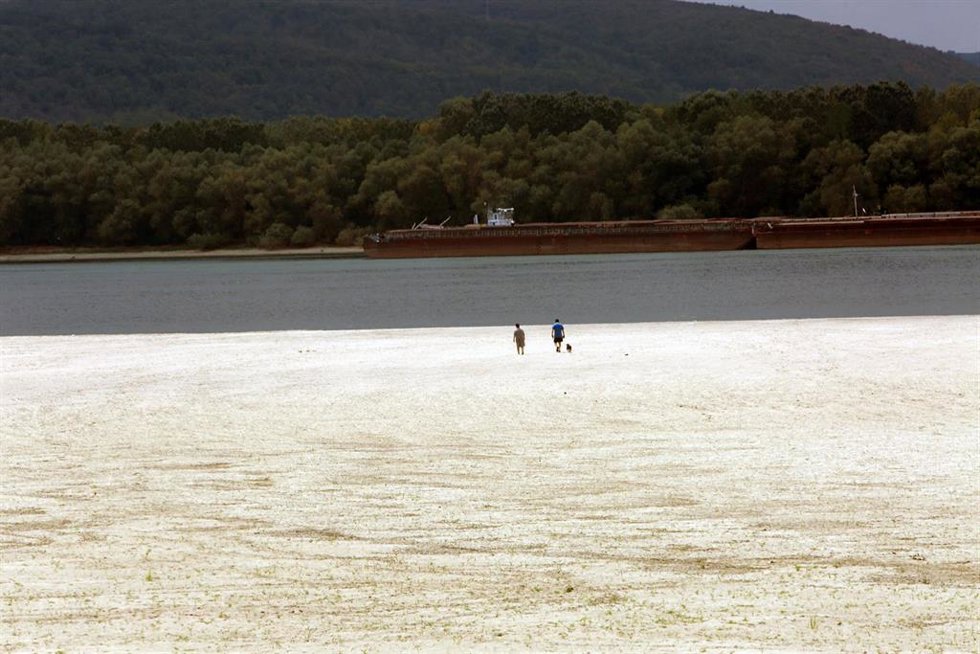 Archivo - Sequía en el río Danubio a su paso por el condado rumano de Teleorman, en imagen de archivo 