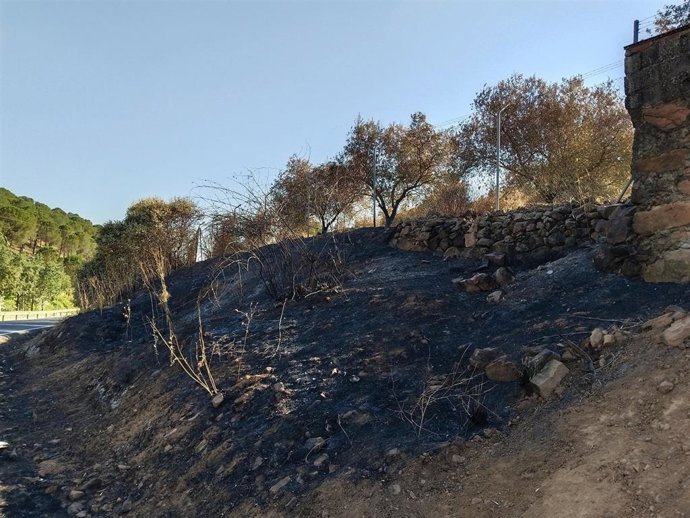 Imagen de los restos de un fuego intencionado en Villaviciosa de Córdoba.