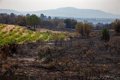 "Normalidad" en el incendio de Burgohondo (Ávila), en el que no se esperan reproducciones significativas esta noche