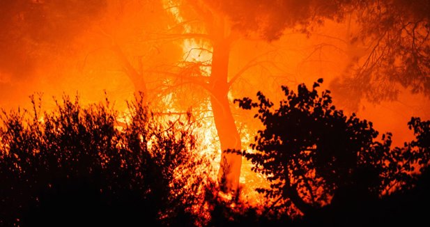 Calcinadas más de 11.100 hectáreas en incendios al noroeste de Atenas