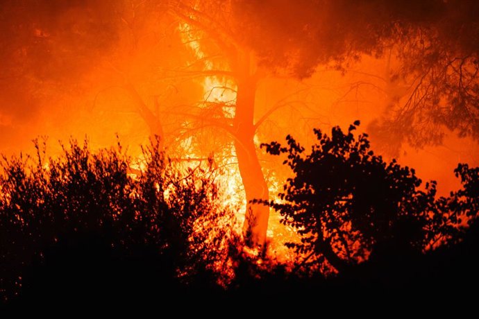 July 31, 2026, Boeotia, GR: LIVADOSTRATAS, Boeotia, Greece - July 31, 2026: A wildfire spreads across the mountain area above Livadostratas in the Boeotia region, Greece. Flames advance through the landscape as firefighting efforts continue amid ongoing w