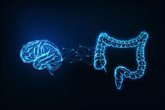Foto: El estómago ayuda al cerebro a recordar: así funciona la nueva conexión intestino-cerebro