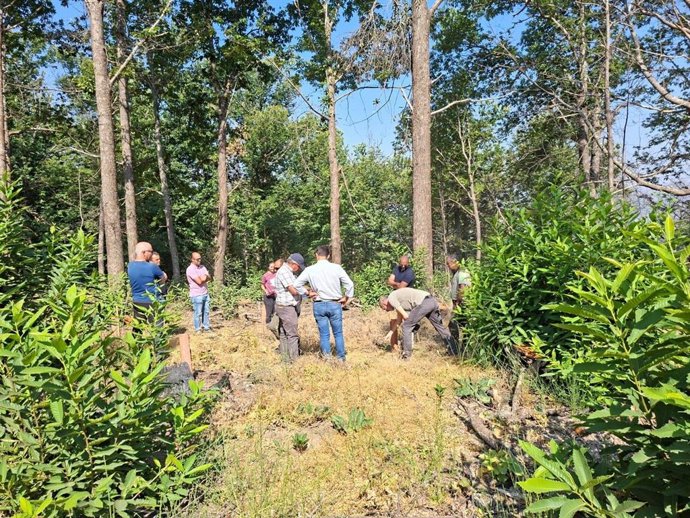 Trabajos de restauración tras los incendios de 2025.