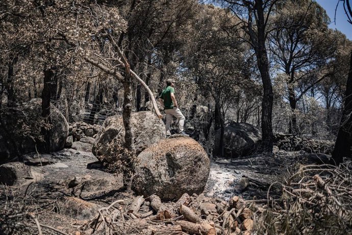 Vista una semana después de que llegara el fuego, a 1 de agosto de 2026, en La Adrada, Castilla y León (España). El delegado territorial de la Junta en Ávila, José Francisco Hernández Herrero, ha asegurado que el incendio forestal de Burgohondo evoluciona