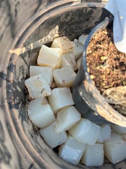 AIMPLAS desarrolla agua sólida, una alternativa biodegradable para mantener las plantas hidratadas durante las vacaciones