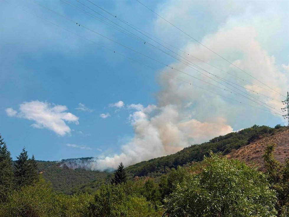 Incendio Ojacastro