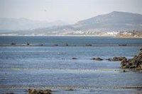 Coordinadora antidroga pide más controles en el Estrecho para evitar el tráfico de migrantes tras la crisis en Ceuta