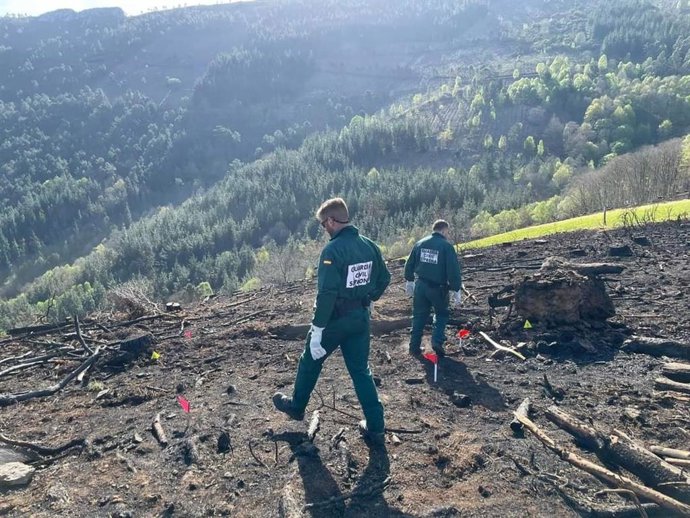Archivo - Agentes del Seprona investigan incendios forestales.