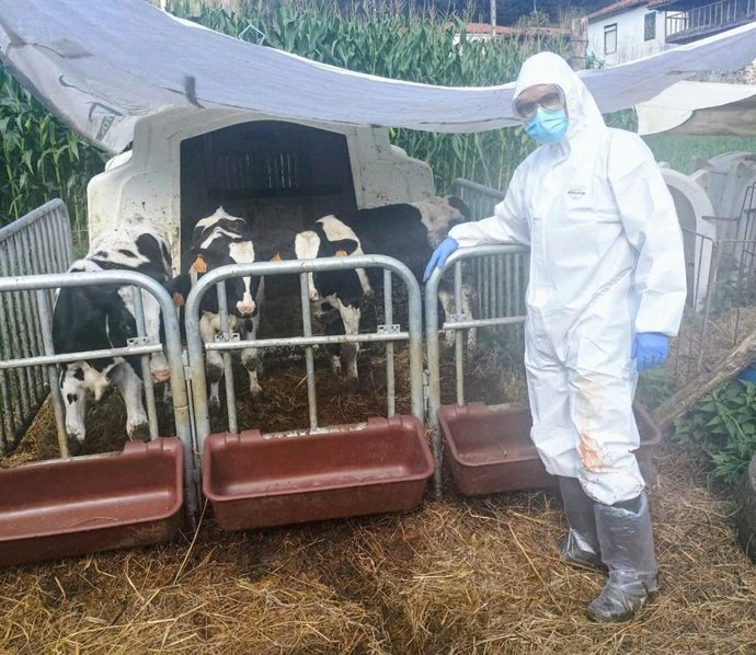 Un facultativo veterinario de Medio Rural trabajando.