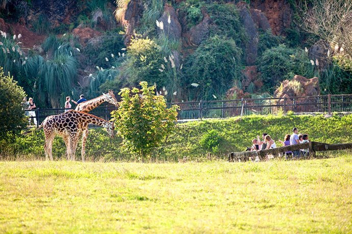 Archivo - Parque de la Naturaleza de Cabárceno