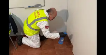 Patentan un tratamiento aplicado en la dana para eliminar el moho de viviendas afectadas por inundaciones