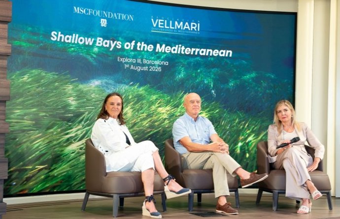 Archivo - La Fundación MSC y Vellmarí impulsan un programa para restaurar 20.000 metros cuadrados de posidonia en el Mediterráneo