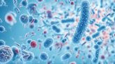 Foto: En duda que las bacterias Lactobacillus formen una comunidad activa y estable en el útero