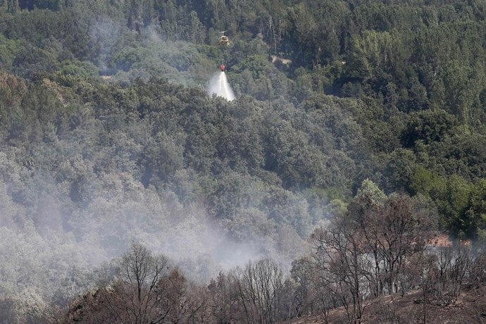 Los farmacéuticos comunitarios destacan su papel clave en prevención y adherencia a los tratamientos ante los incendios