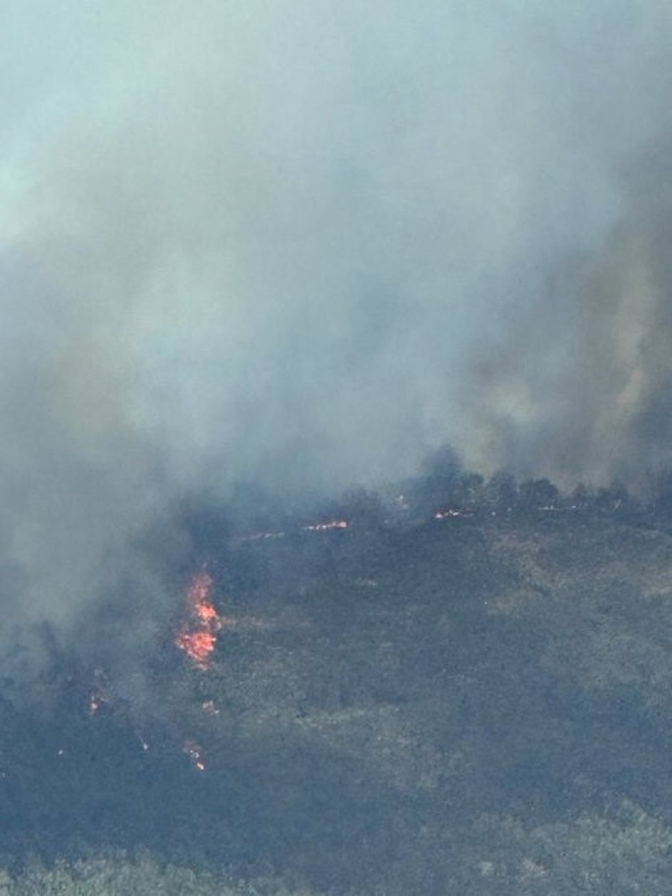 Incendio forestal en Casas de Millán, el pasado sábado