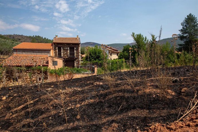 Terreno quemado por el incendio forestal, a 23 de julio de 2026, en La Mierla, Guadalajara, Castilla-La Mancha (España). 