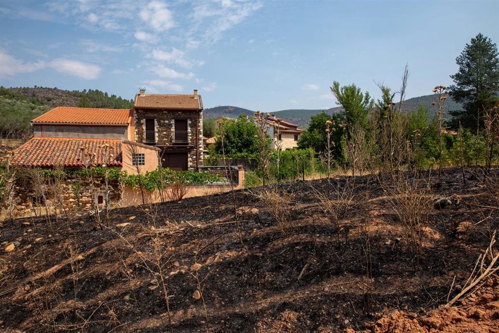Terreno quemado por el incendio forestal, a 23 de julio de 2026, en La Mierla, Guadalajara, Castilla-La Mancha (España).