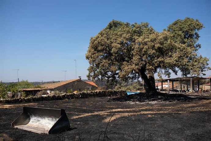 Jardín quemado por un incendio forestalen Mámoles.