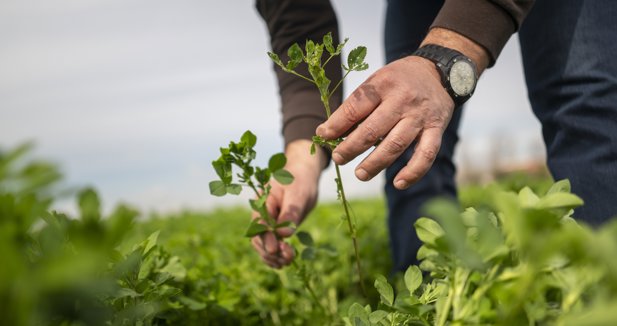 EpAgro - Agricultura