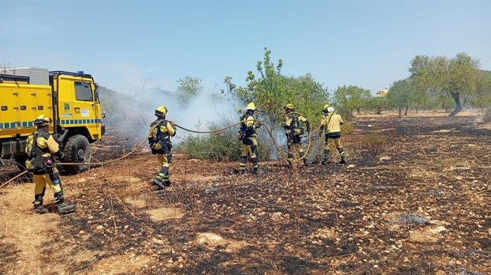 Controlado un incendio agrícola en Sa Pobla.