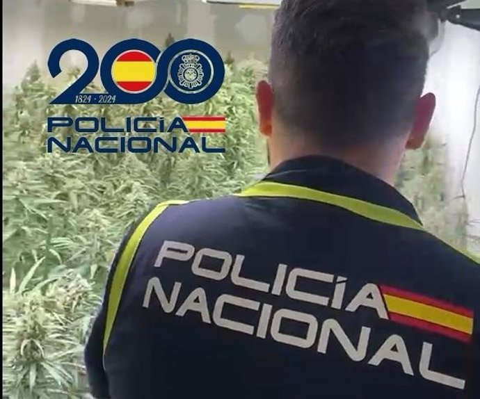 Imagen de un agente de la Policía Nacional en una plantación de marihuana.