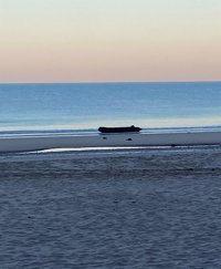 Encuentran varada en una playa de Algeciras (Cádiz) una nueva embarcación que transportaba migrantes
