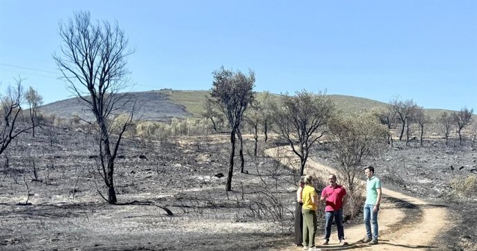 El presidente de la Diputación de Cáceres, Miguel Ángel Morales, visita la zona afectada por el incendio en Casas de Millán y Mirabel.