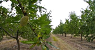 Almería
