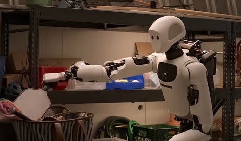 Sector