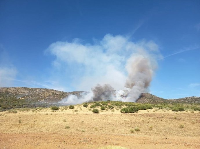 Incendio en Arroyo de San Serván