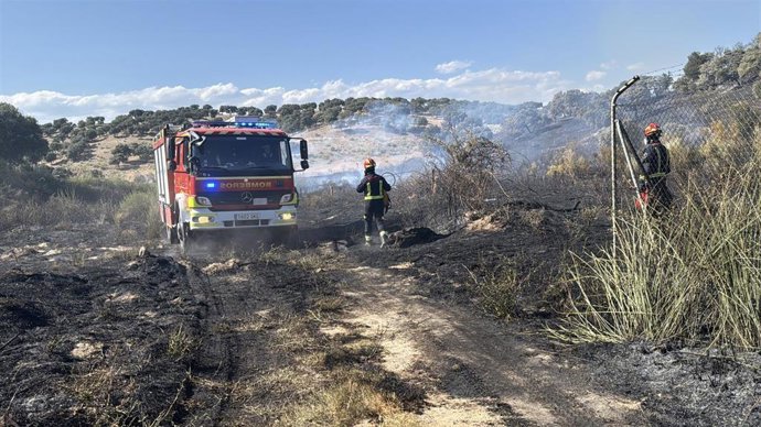 Bomberos de la Comunidad de Madrid controlan un incendio de vegetación en las inmediaciones de la planta depuradora de Villamantilla