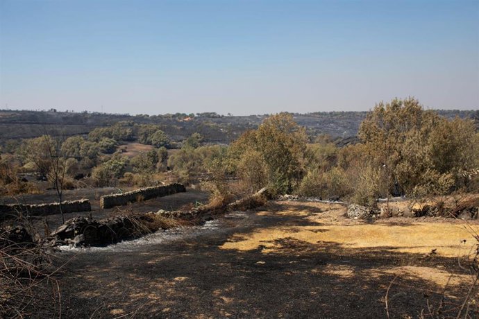 Casa quemada por un incendio forestal, a 31 de julio de 2026, en Fornillos de Fermoselle, Zamora, Castilla y León (España). 