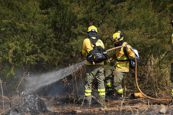 Efectivos del Infoca trabajan en la extinción de un incendio. Imagen de archivo. 