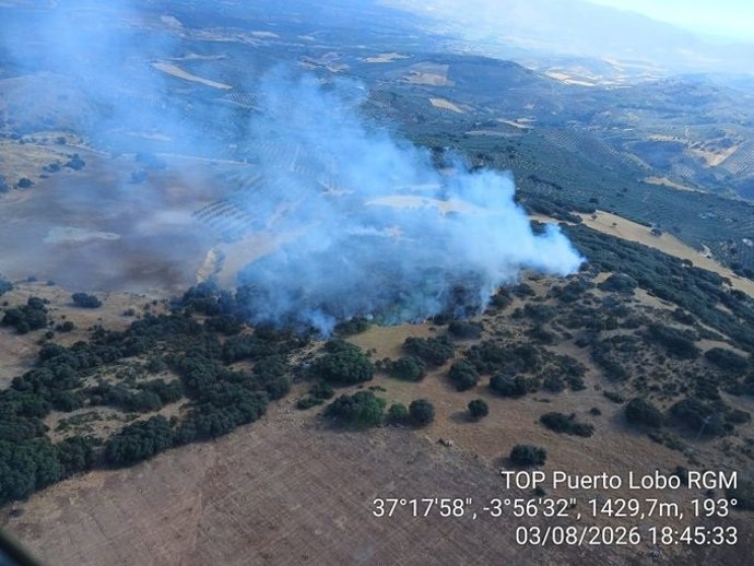 Incendio forestal declarado en Íllora (Granada) en un paraje de la Sierra de Parapanda