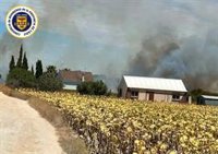 Bomberos evitan que un incendio de pasto en Chiclana (Cádiz) llegue a casas tras quemar 10.000 m2 de terreno