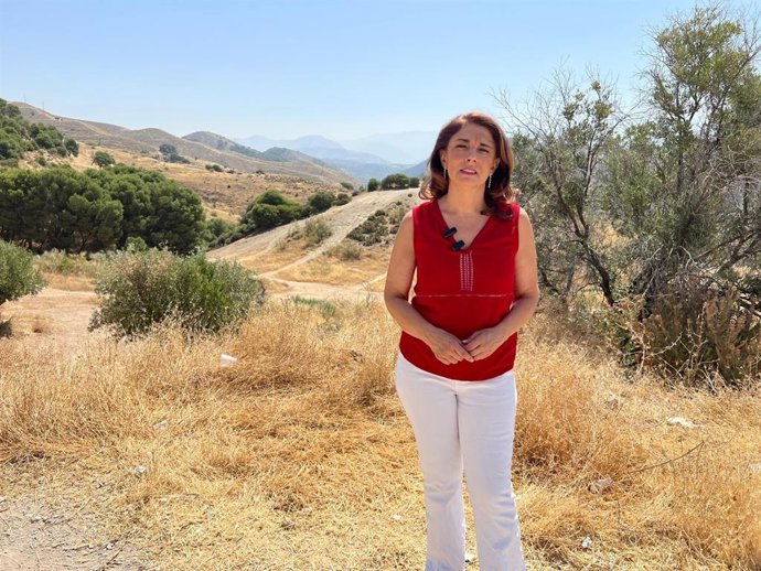 La concejala portavoz del PSOE, Raquel Ruz, ha denunciado desde San Miguel Alto la que ha considerado "inacción" del equipo de gobierno del Ayuntamiento de Granada y de la Junta de Andalucía "ante la falta de limpieza y desbroce del entorno del mirador"