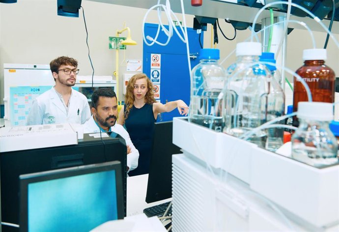 Miembros de la Plataforma de Medicina de Sistemas Traslacional en Tumores Cerebrales impulsada por el Hospital Virgen del Rocío.