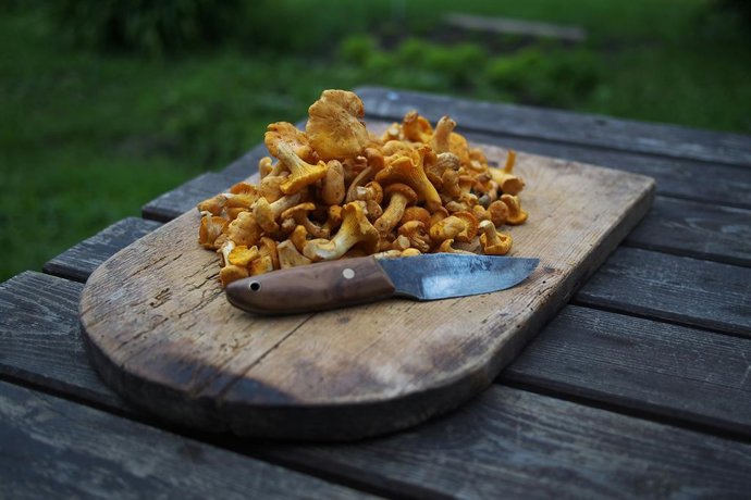Una tabla de madera con setas