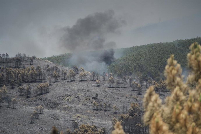 Extensión forestal quemada por el incendio, a 18 de julio de 2026, en La Mierla, Guadalajara, Castilla-La Mancha (España). El fuego sigue activo en varios frentes y avanza hacia el municipio de Semillas, ha obligado a evacuar a 529 vecinos de once municip