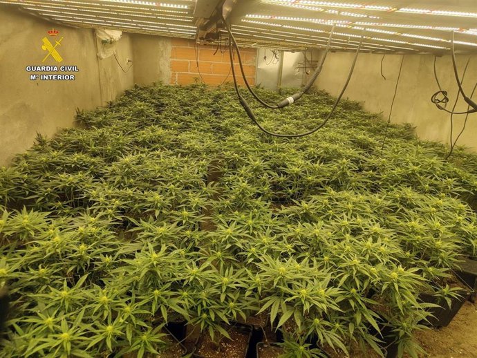 Cultivo interior de marihuana desmantelado en un cortijo de Escúllar, en Las Tres Villas (Almería).