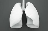 Foto: El GECP reclama una estrategia nacional específica de cáncer de pulmón y que sea considerado una prioridad sanitaria