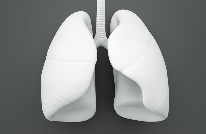 Archivo - El GECP reclama una estrategia nacional específica de cáncer de pulmón y que sea considerado una prioridad sanitaria 