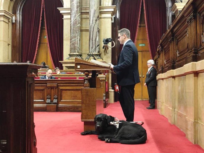 Archivo - El diputado de Junts Isaac Padrós en un pleno del Parlament con su perro Guilty