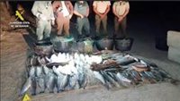 Cuatro investigados por pesca furtiva en Doñana tras intervenir 500 kilos de captura ilegal