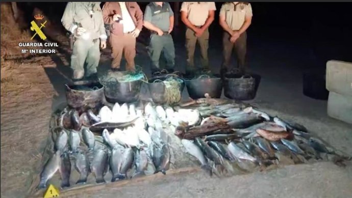 Pescado capturado ilegalmente en Doñana.