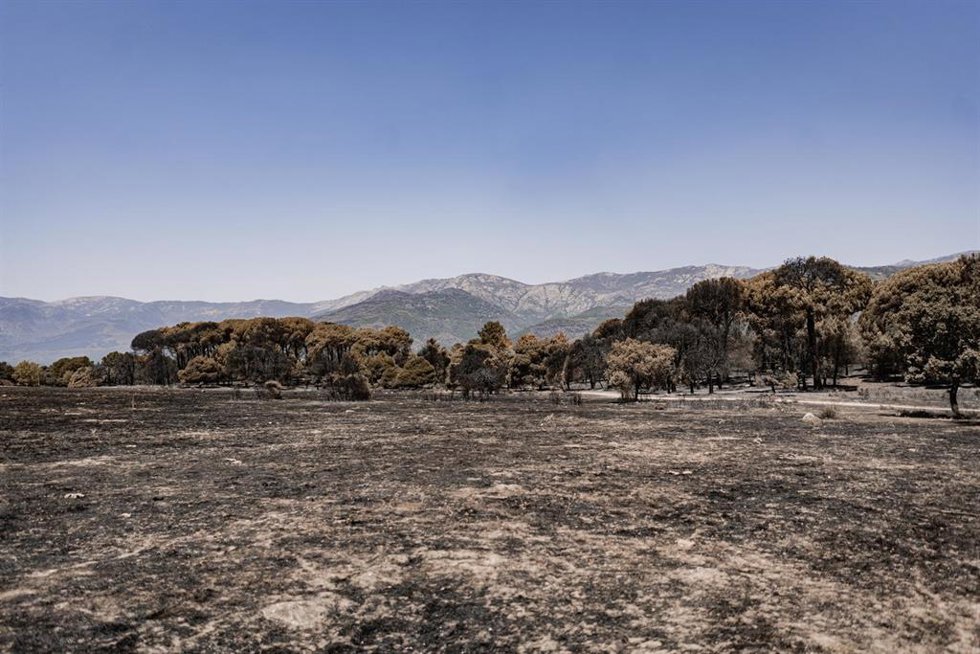 Vista una semana después de que llegara el fuego, a 1 de agosto de 2026, en La Adrada, Castilla y León (España). El delegado territorial de la Junta en Ávila, José Francisco Hernández Herrero, ha asegurado que el incendio forestal de Burgohondo evoluciona