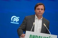 El PP-A reitera que Montero debe dar explicaciones sobre su relación con Zapatero: "¿Qué sabía?"