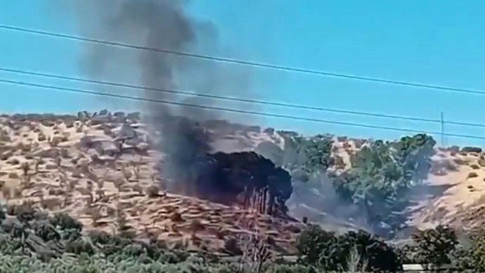 Incendio en Pinos Puente.